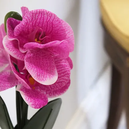 Domu Ajaju Πανσιόν Villasimius