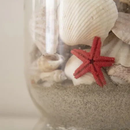 Domu Ajaju בית הארחה 3*