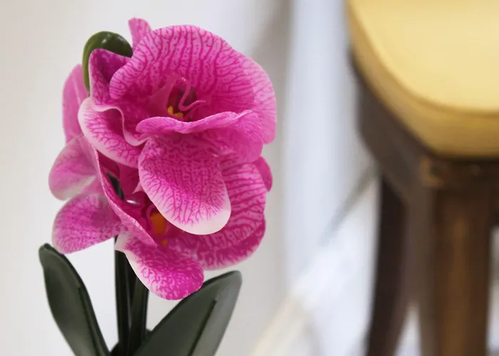 Domu Ajaju Guest house Villasimius