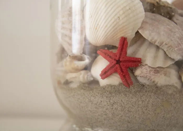 Domu Ajaju Konukevi 3*